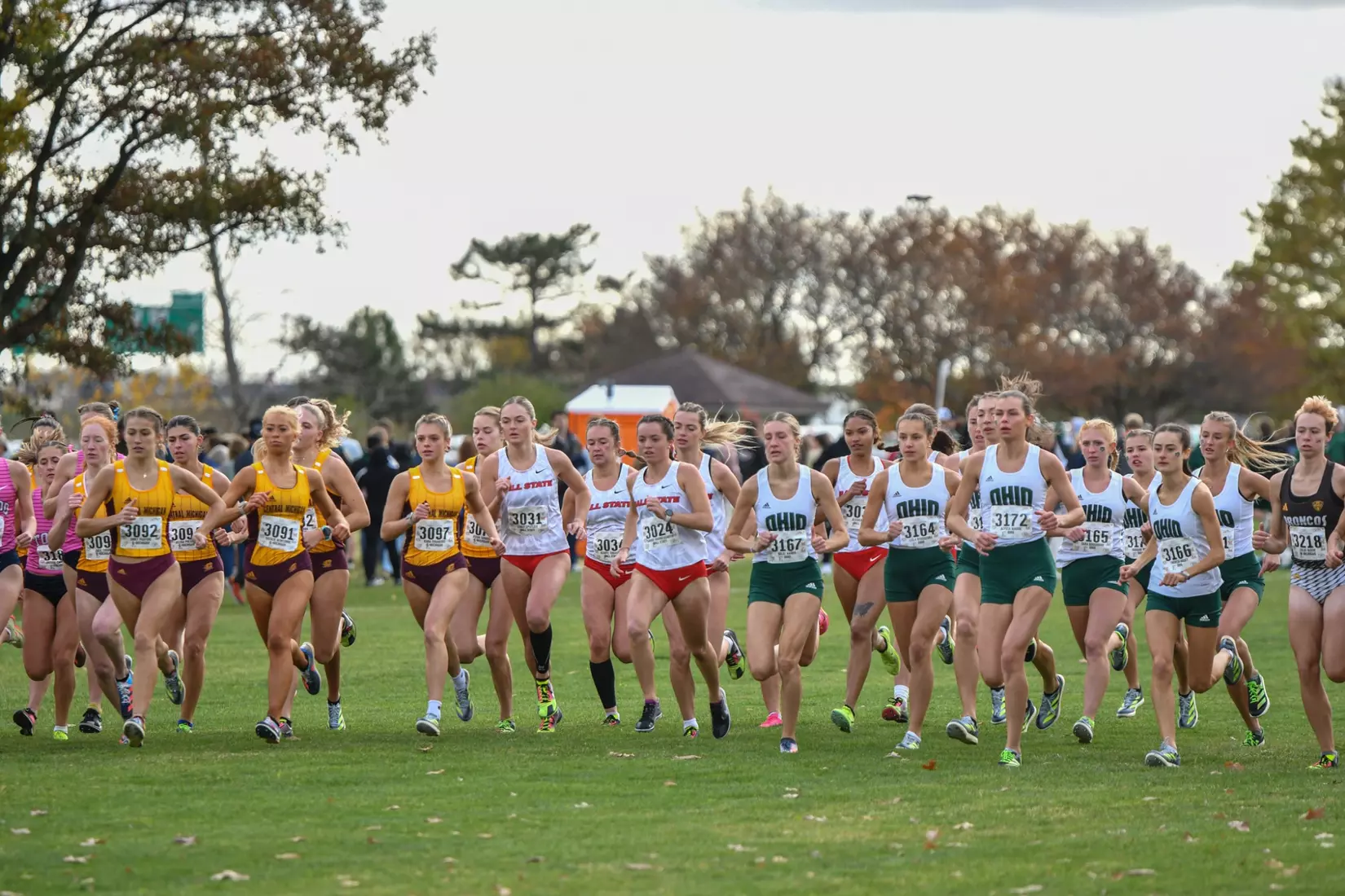 Cross Country at MAC