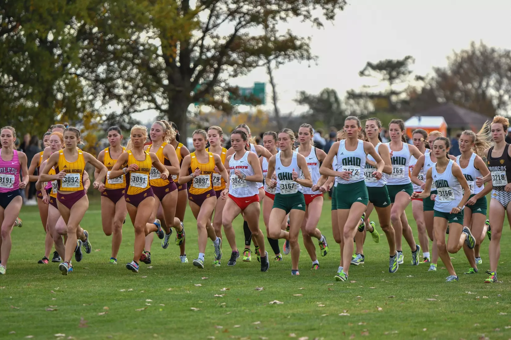 Cross Country at MAC