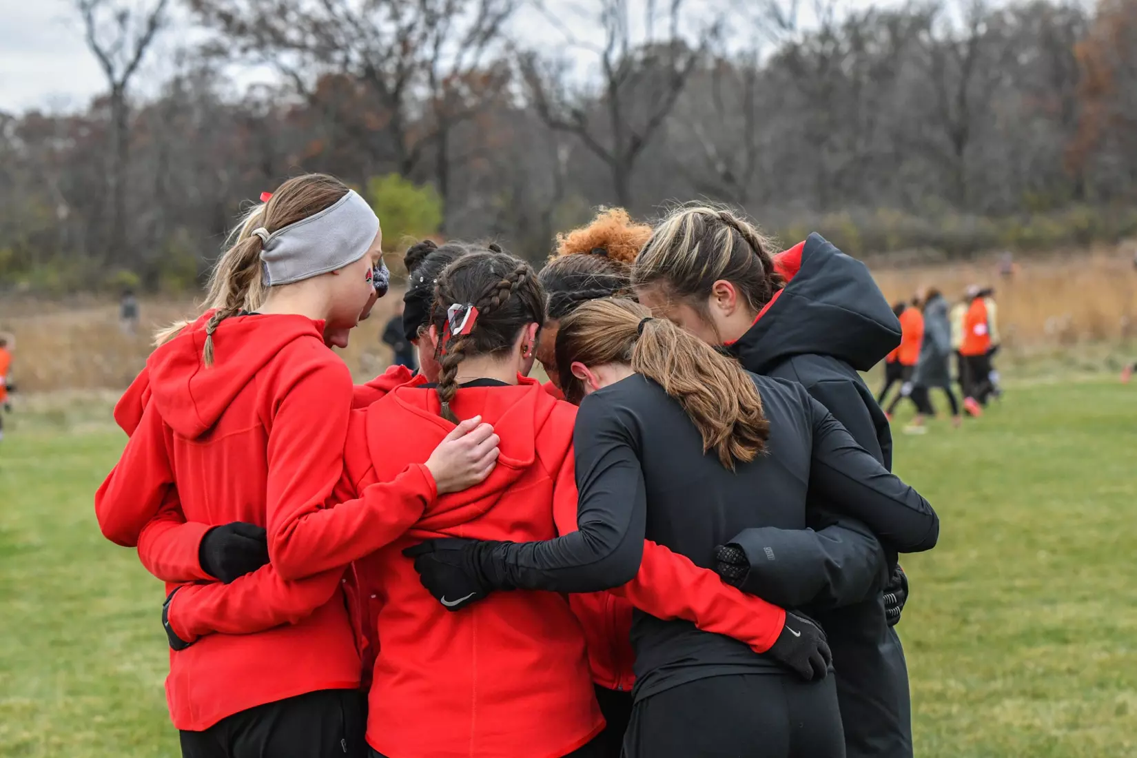 Cross country at NCAA Great Lakes Regionals
