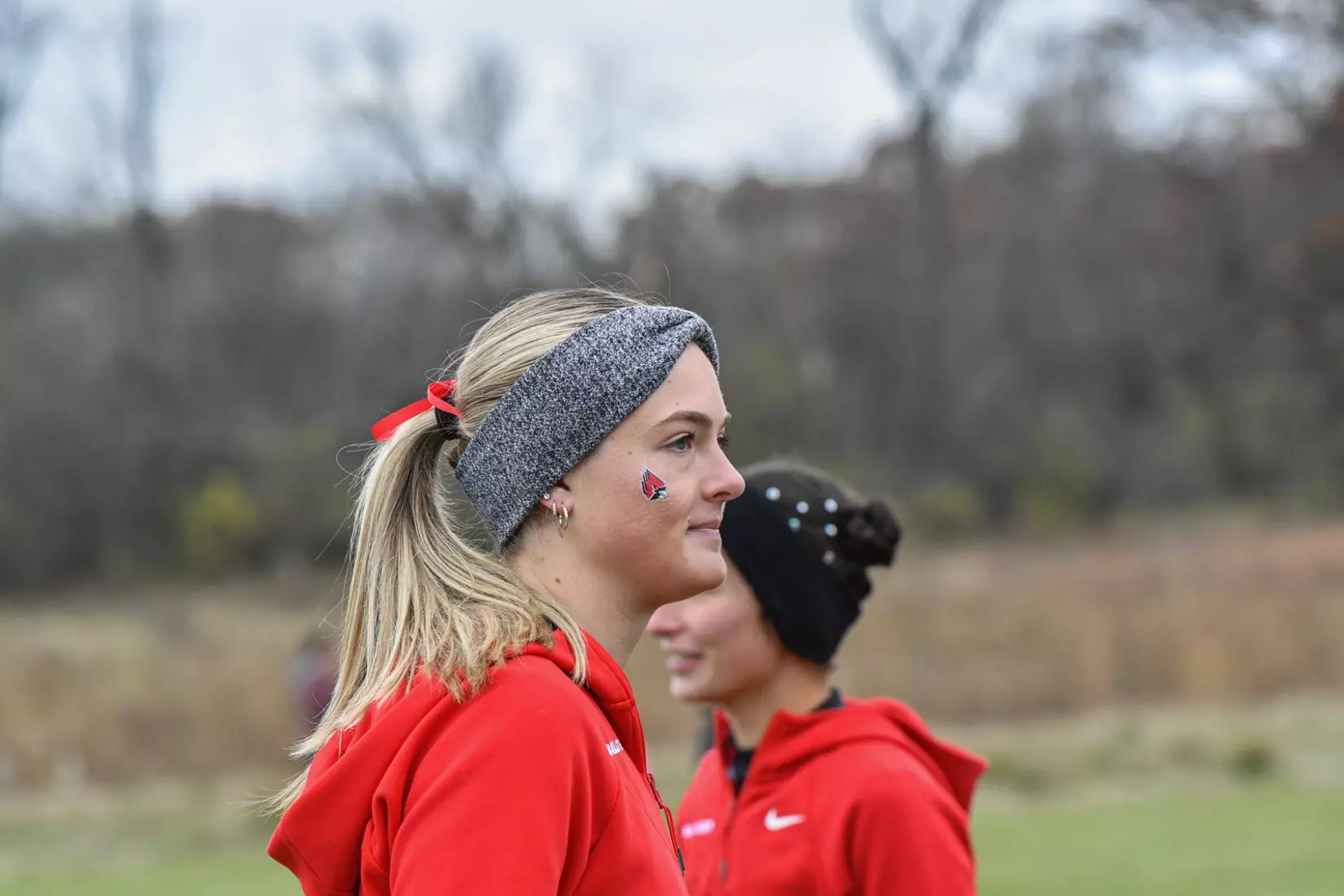 Cross country at NCAA Great Lakes Regionals