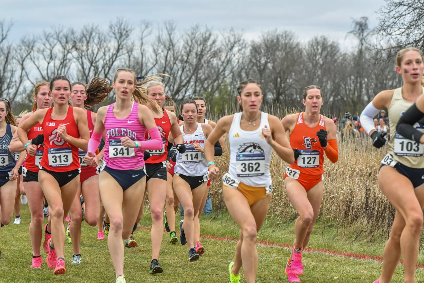 Cross country at NCAA Great Lakes Regionals