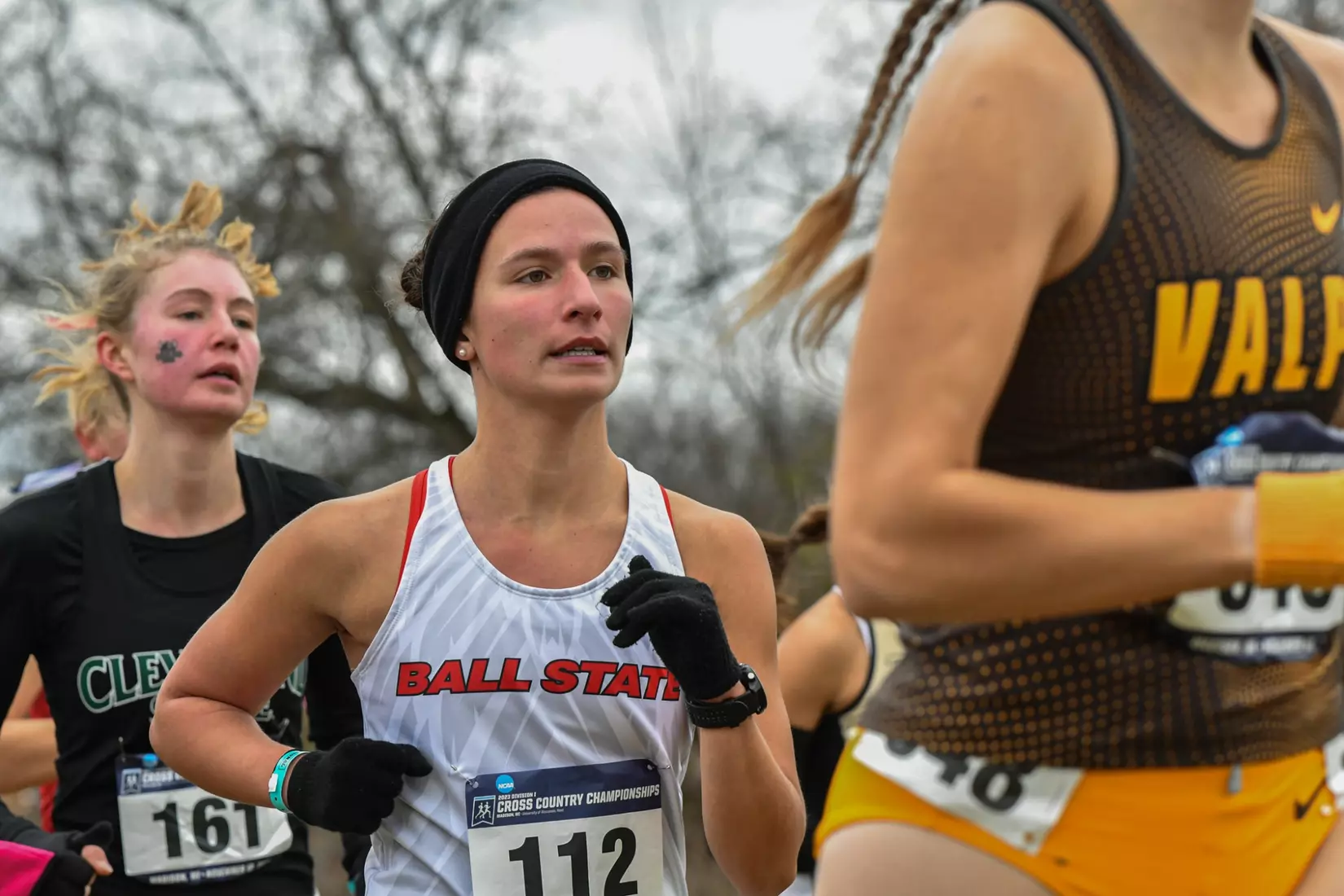 Cross country at NCAA Great Lakes Regionals