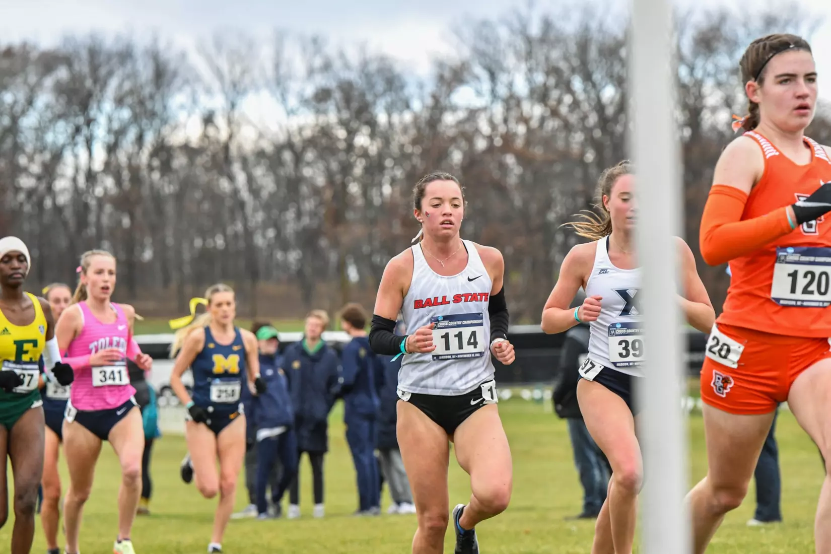 Cross country at NCAA Great Lakes Regionals