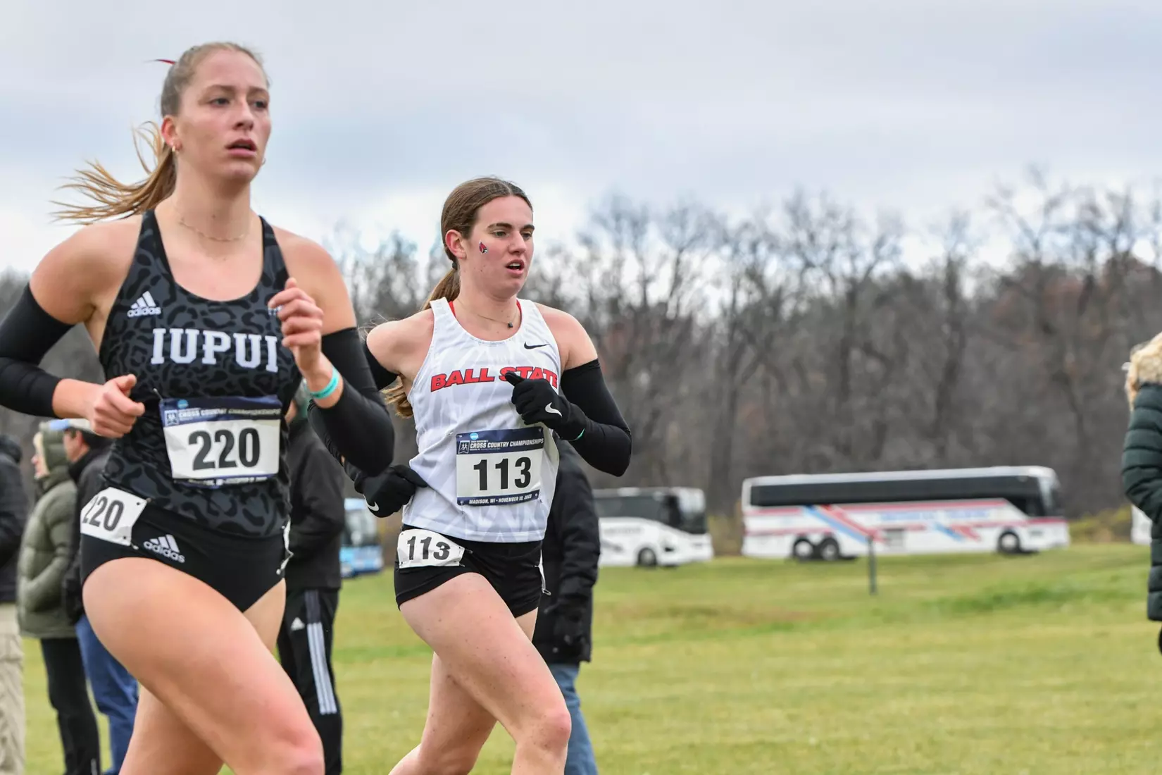 Cross country at NCAA Great Lakes Regionals