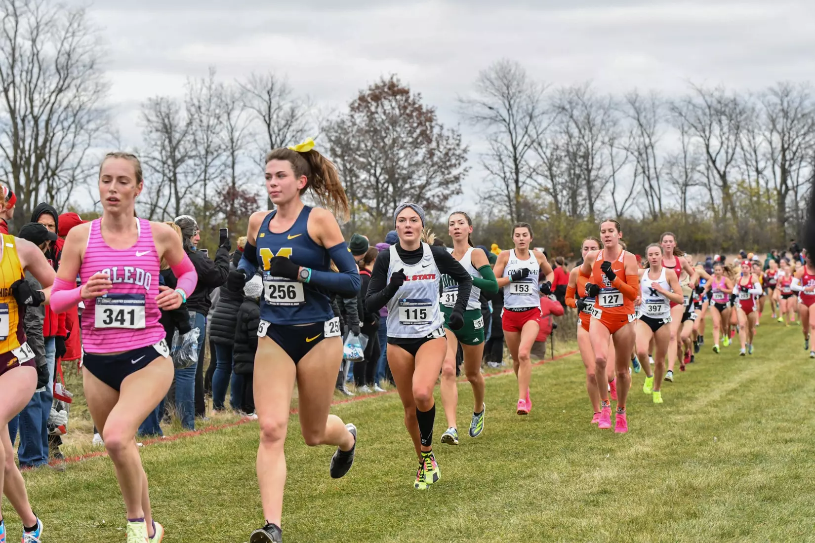 Cross country at NCAA Great Lakes Regionals