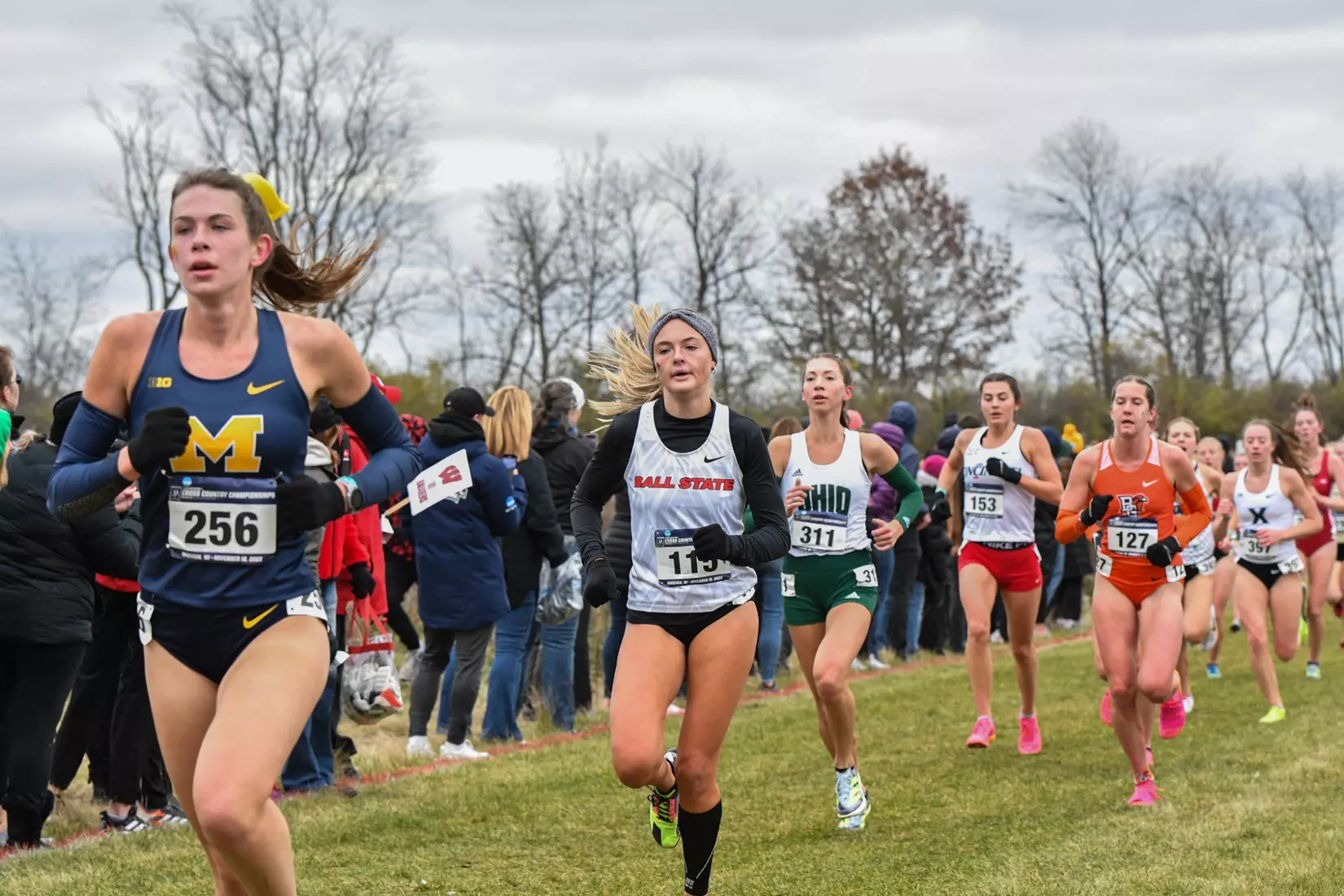 Cross country at NCAA Great Lakes Regionals