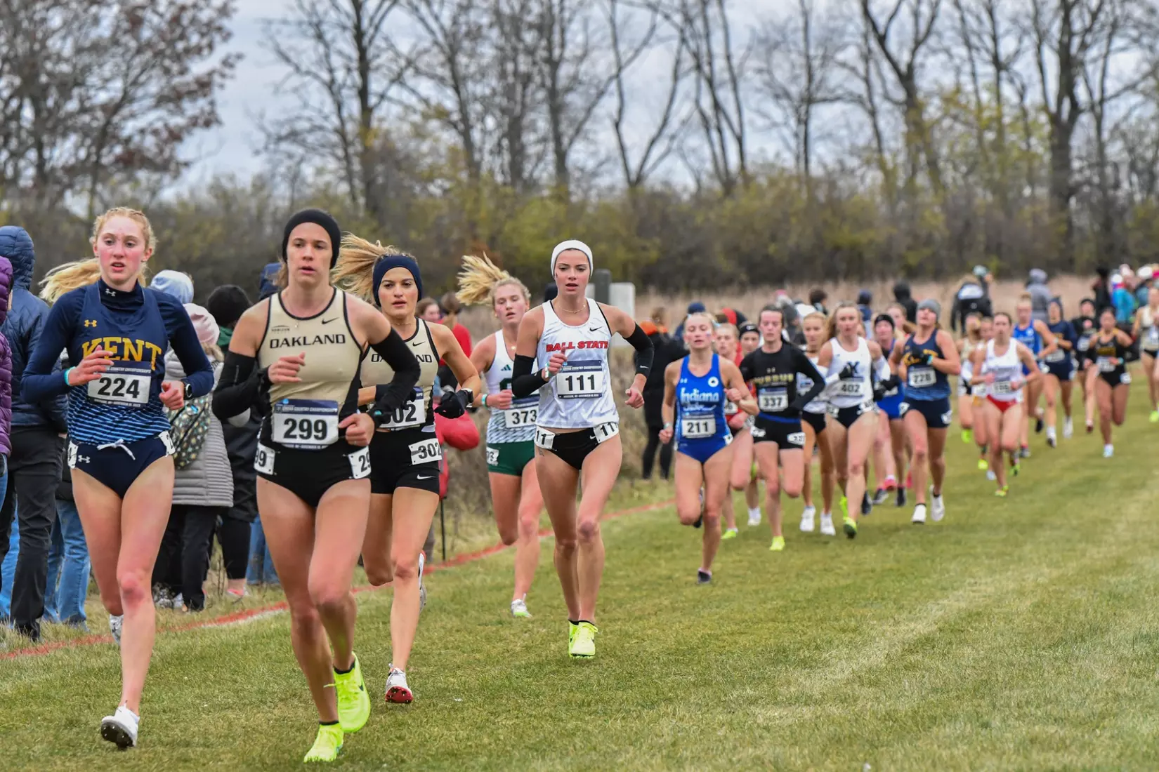 Cross country at NCAA Great Lakes Regionals