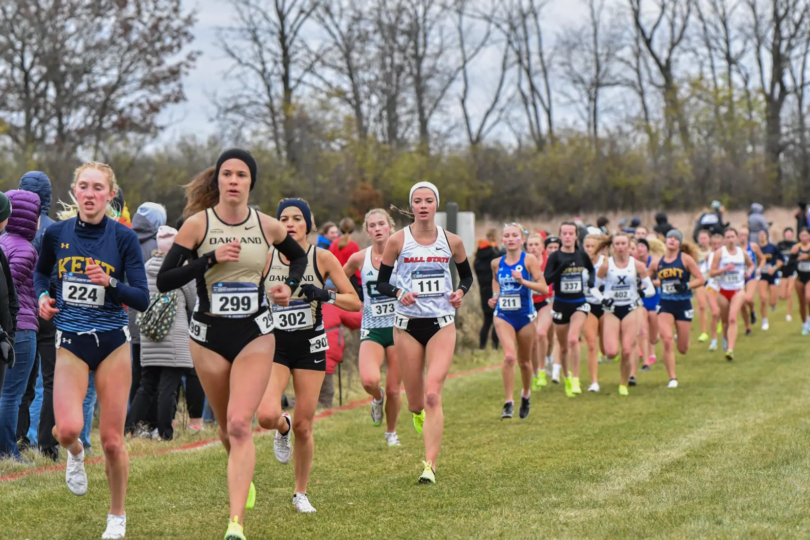 Cross country at NCAA Great Lakes Regionals