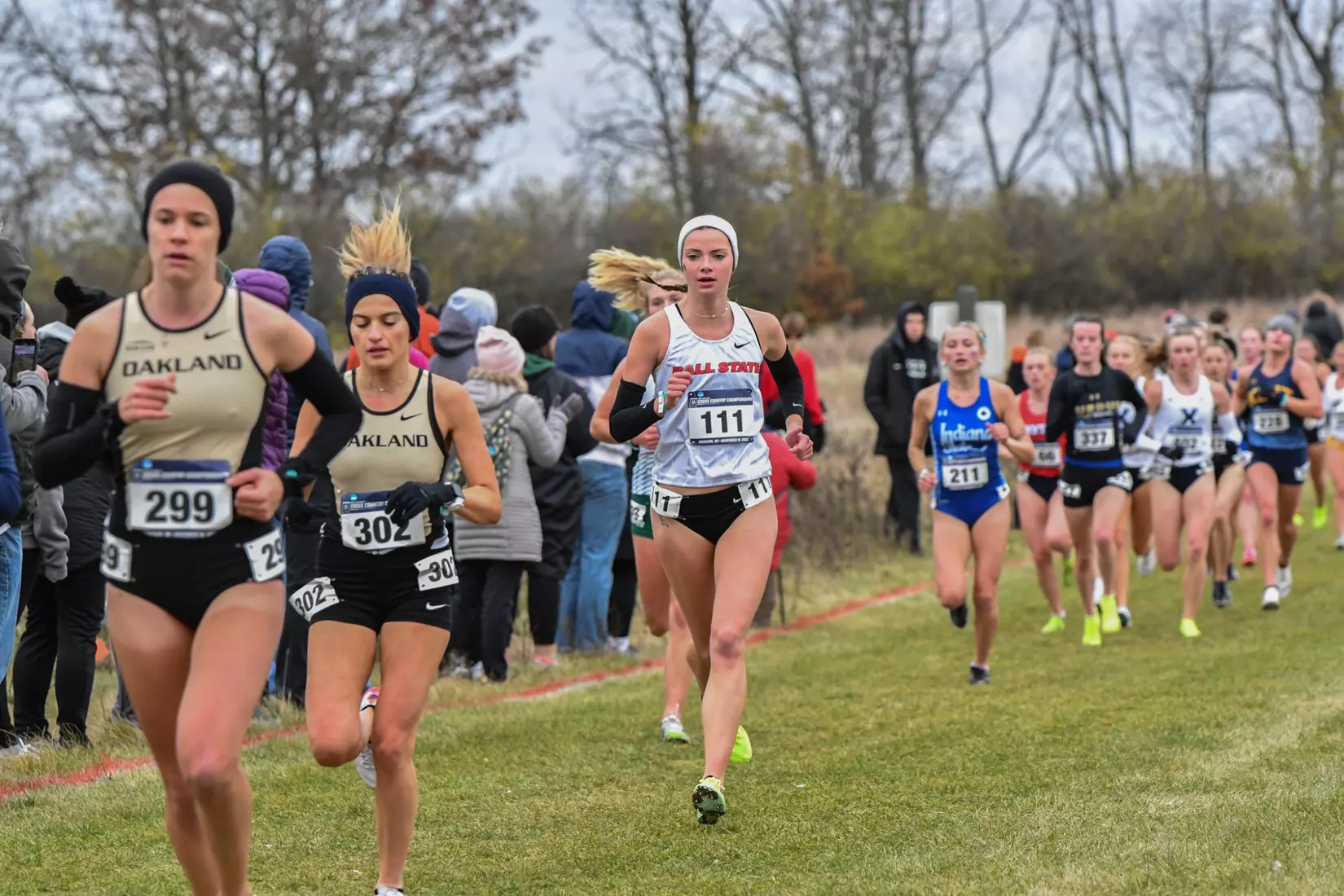 Cross country at NCAA Great Lakes Regionals
