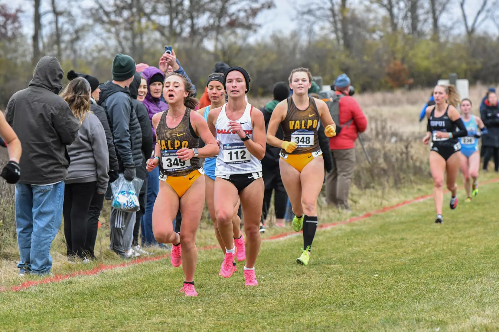 Cross country at NCAA Great Lakes Regionals
