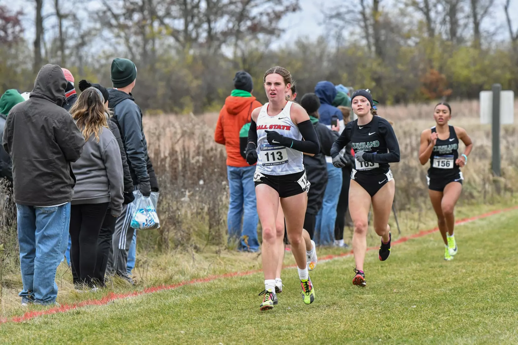 Cross country at NCAA Great Lakes Regionals