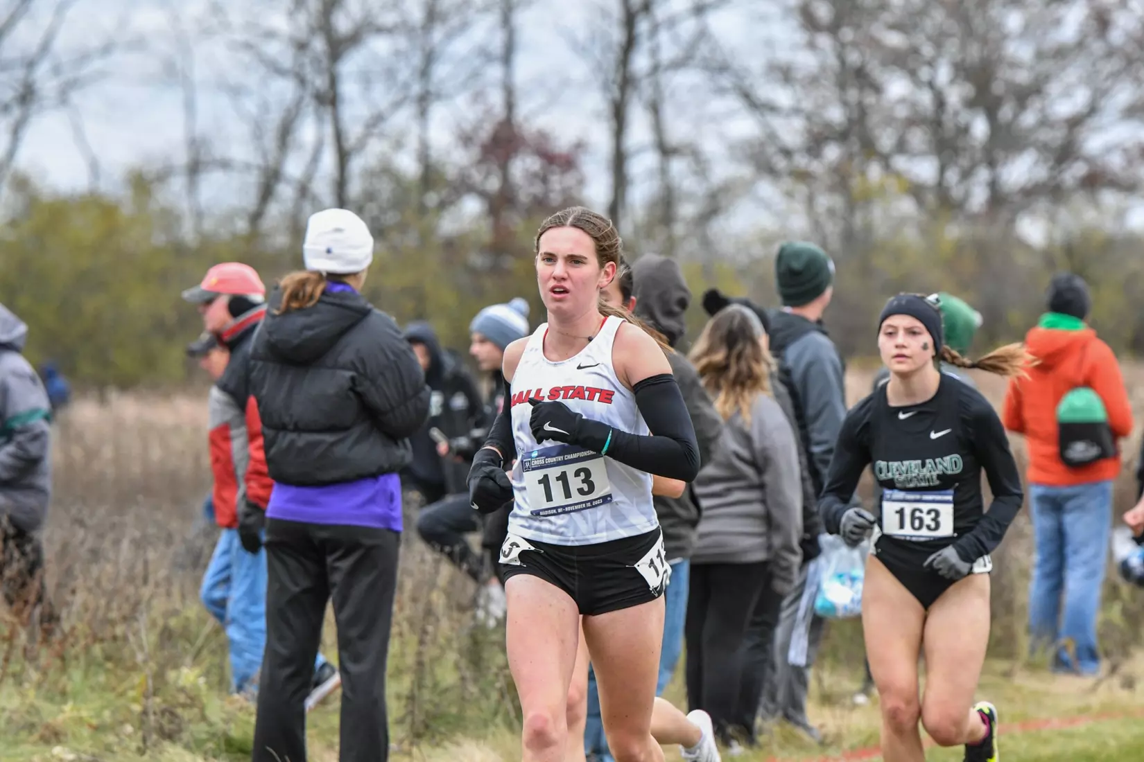 Cross country at NCAA Great Lakes Regionals