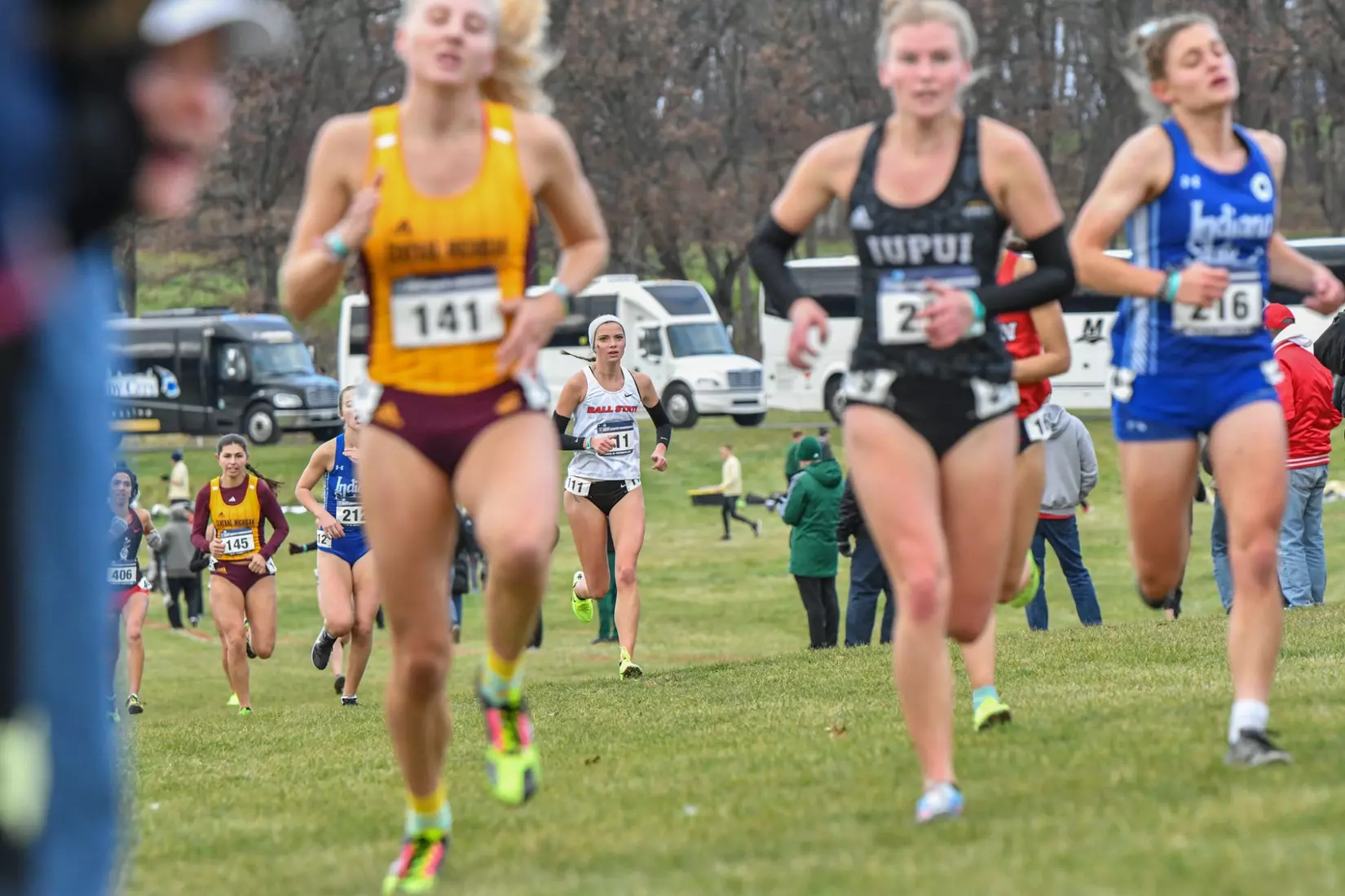 Cross country at NCAA Great Lakes Regionals