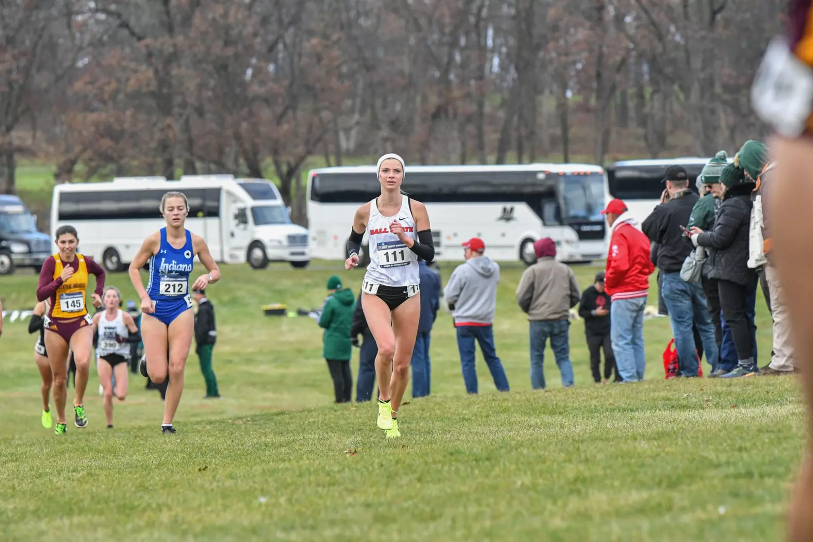 Cross country at NCAA Great Lakes Regionals