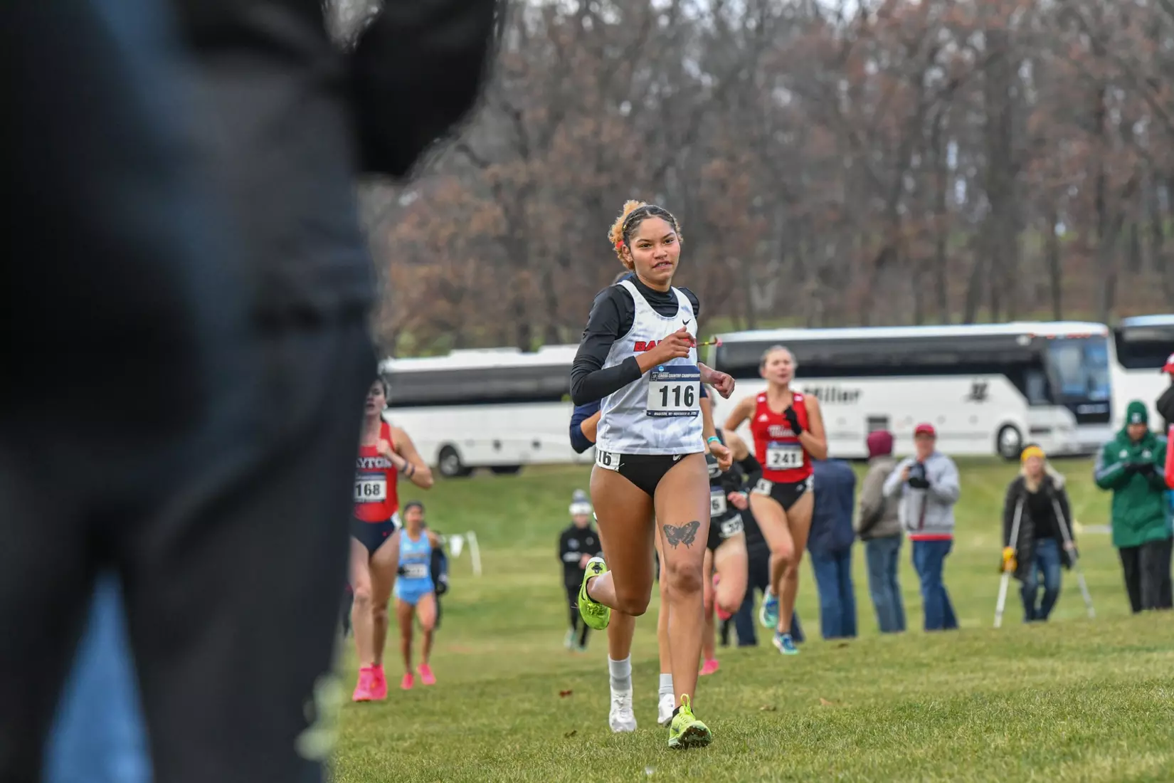Cross country at NCAA Great Lakes Regionals