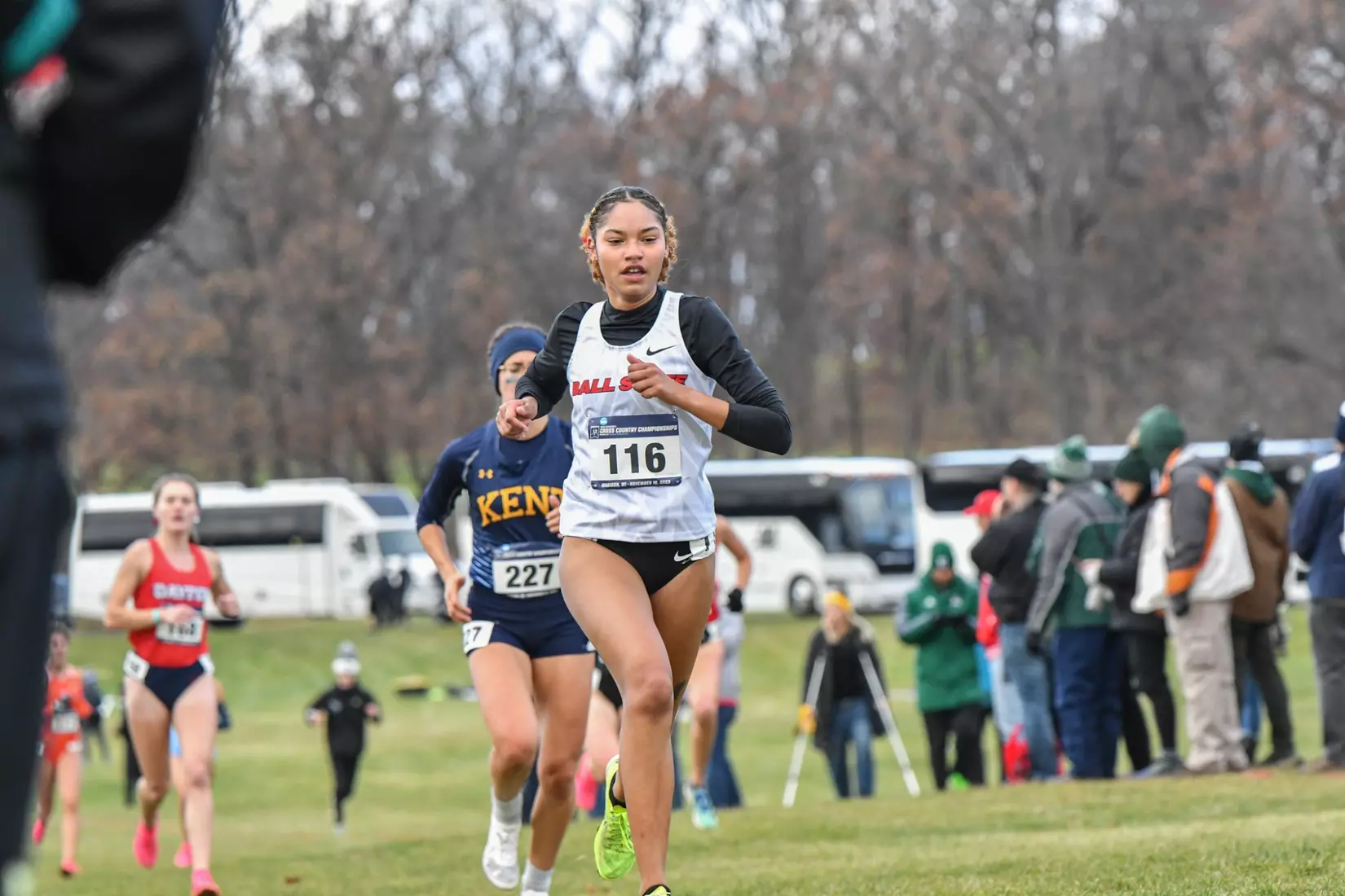 Cross country at NCAA Great Lakes Regionals