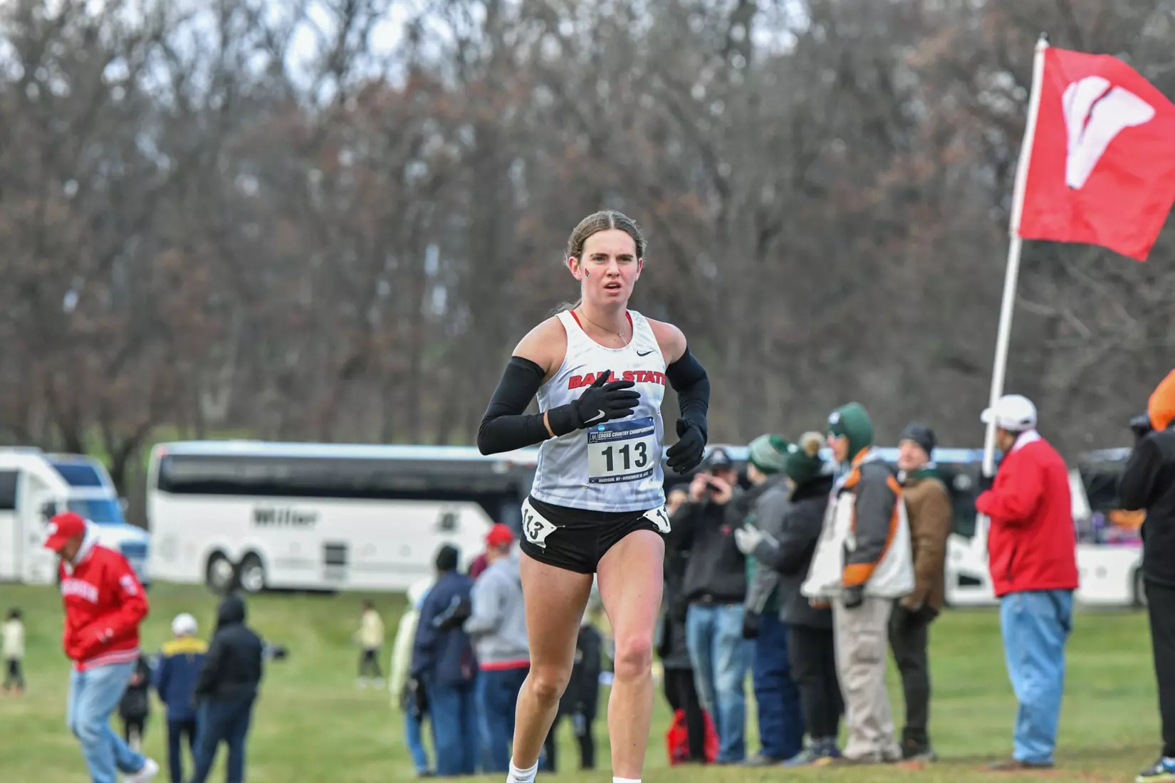 Cross country at NCAA Great Lakes Regionals