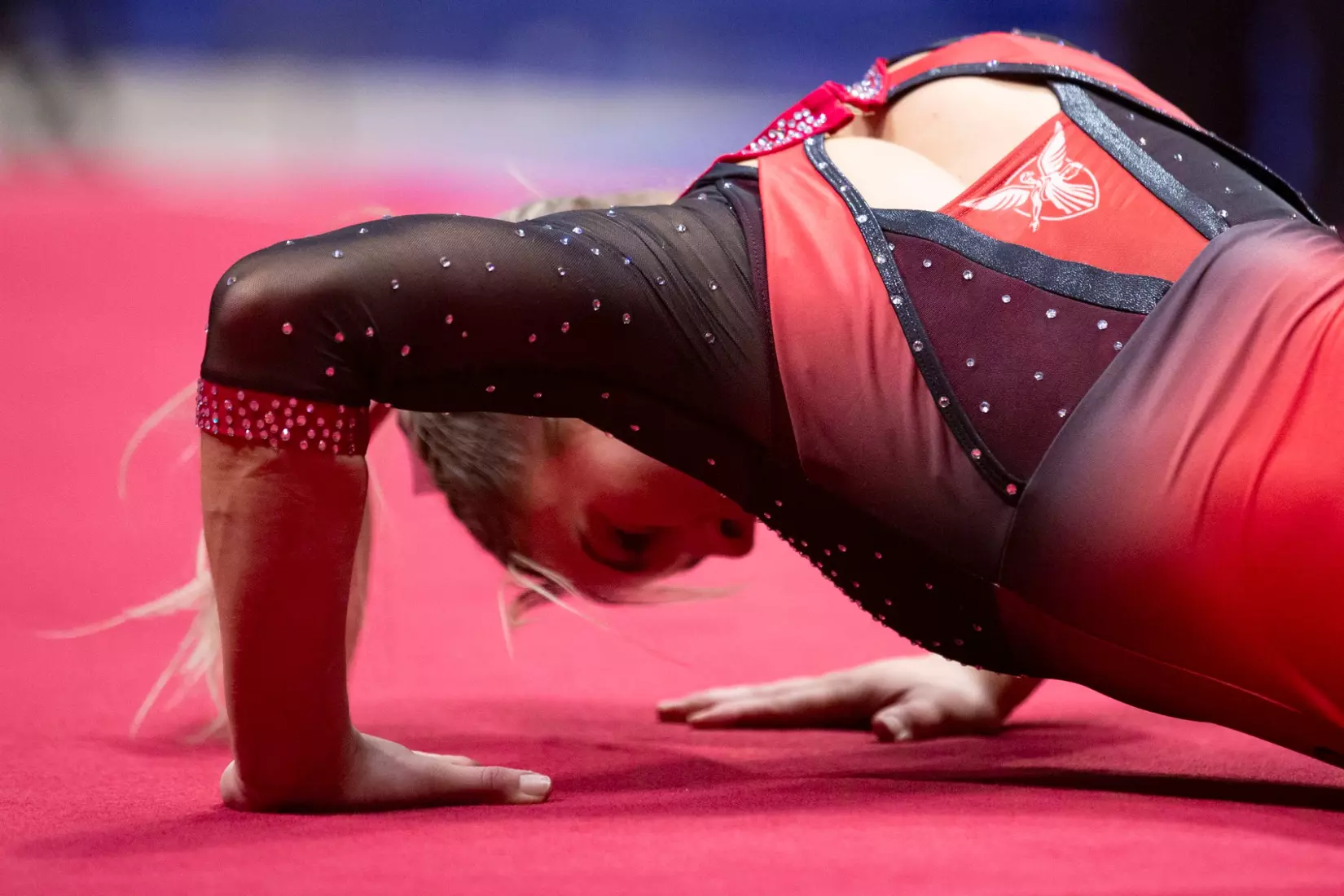 23_MC-48020-Gymnastics vs.  Central Michigan