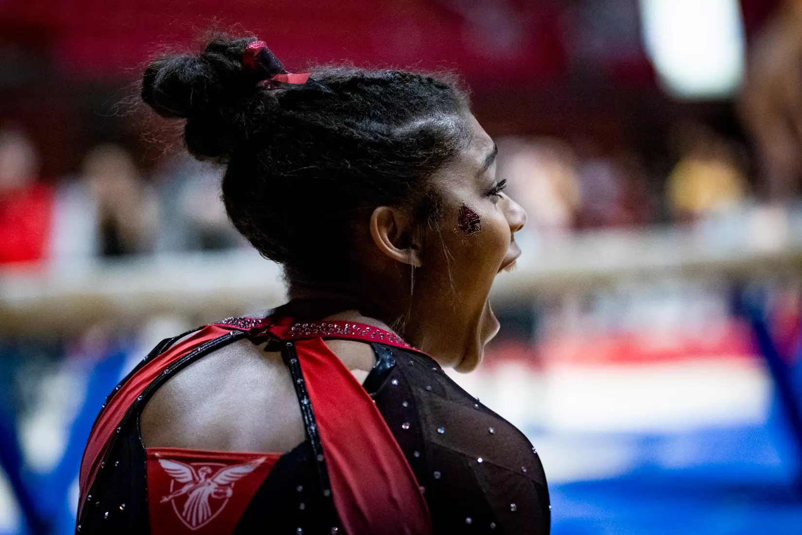 Ball State Gymnastics vs Central Michigan