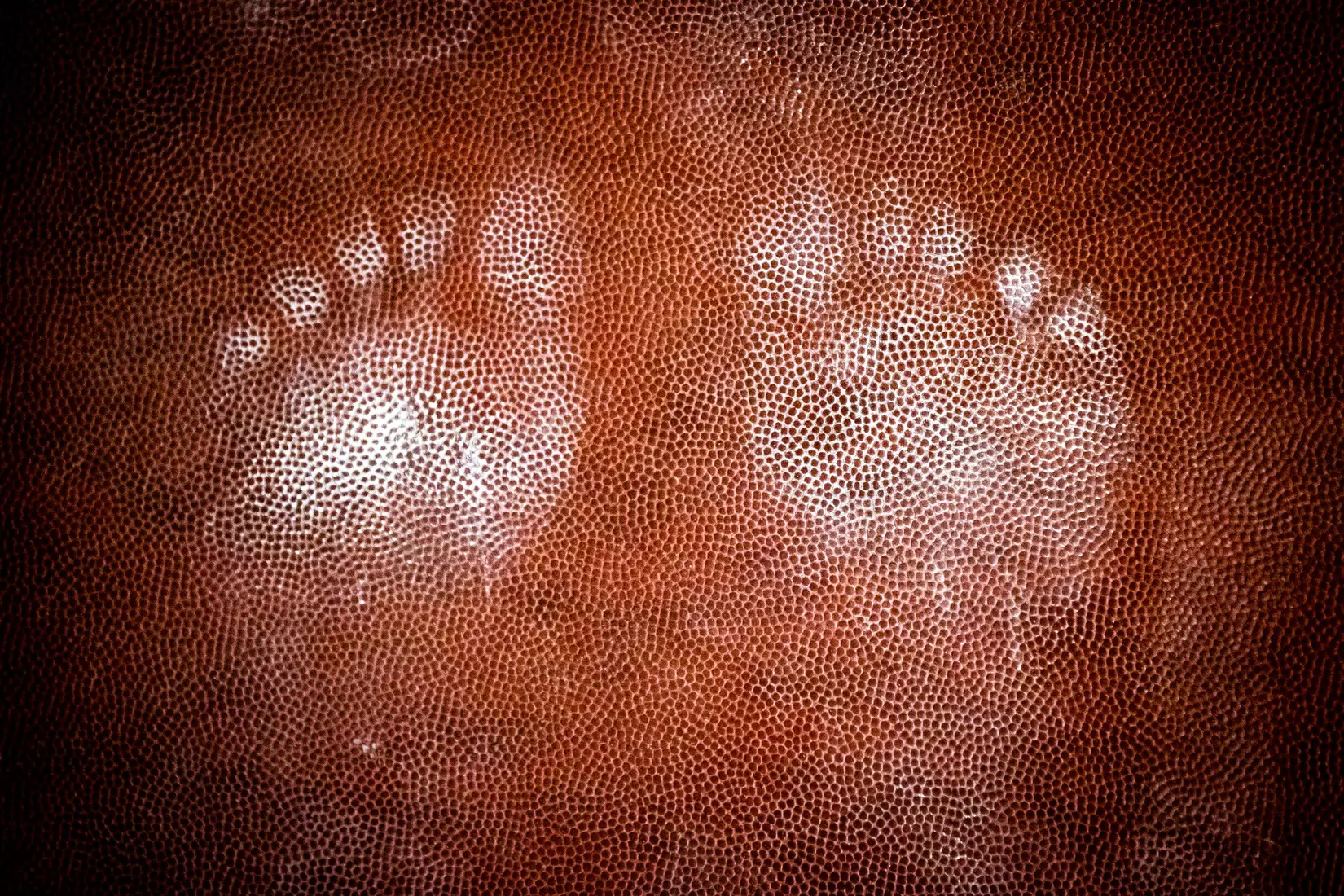 Ball State Gymnastics vs Central Michigan