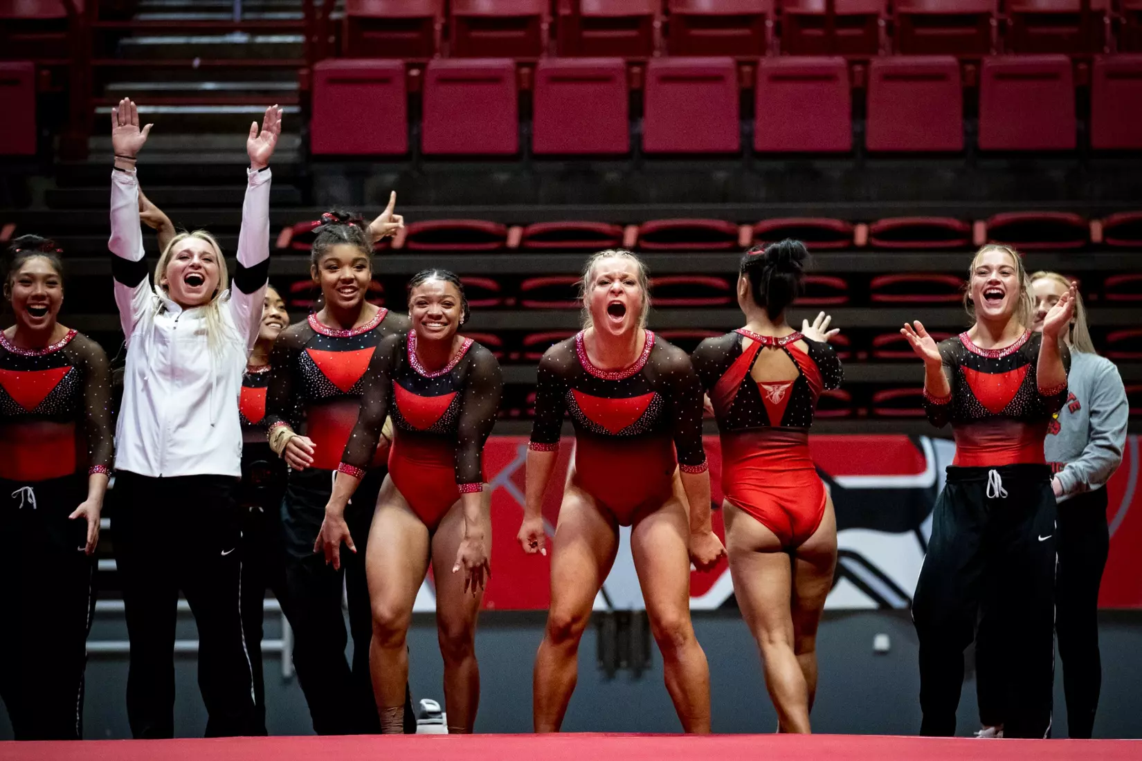 Ball State Gymnastics vs Central Michigan