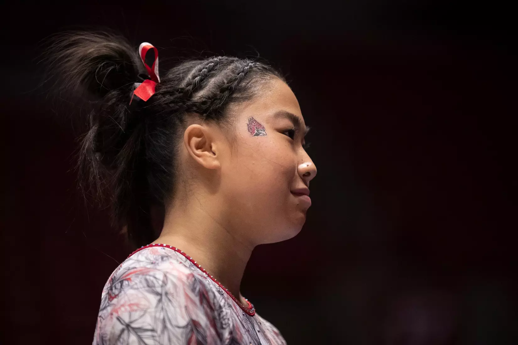 Ball State gymnastics vs. Western Michigan - 2023 Senior Day