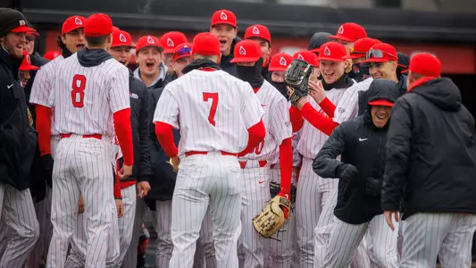 BaseballTeam