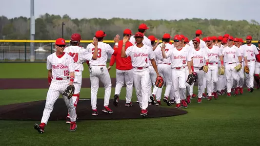 BaseballTeamHighFives