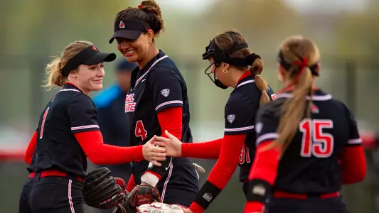Softball - Meeting In Circle