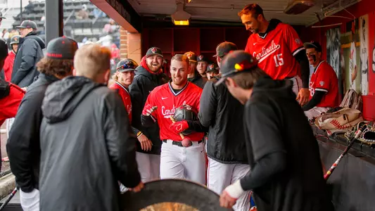 BaseballHRDugoutCelebration