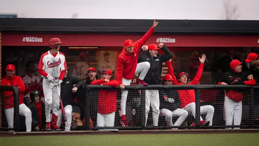 BaseballDugoutCelebration