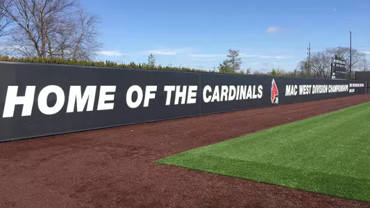 BaseballWall