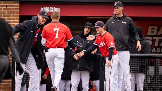 BaseballHRCelebration