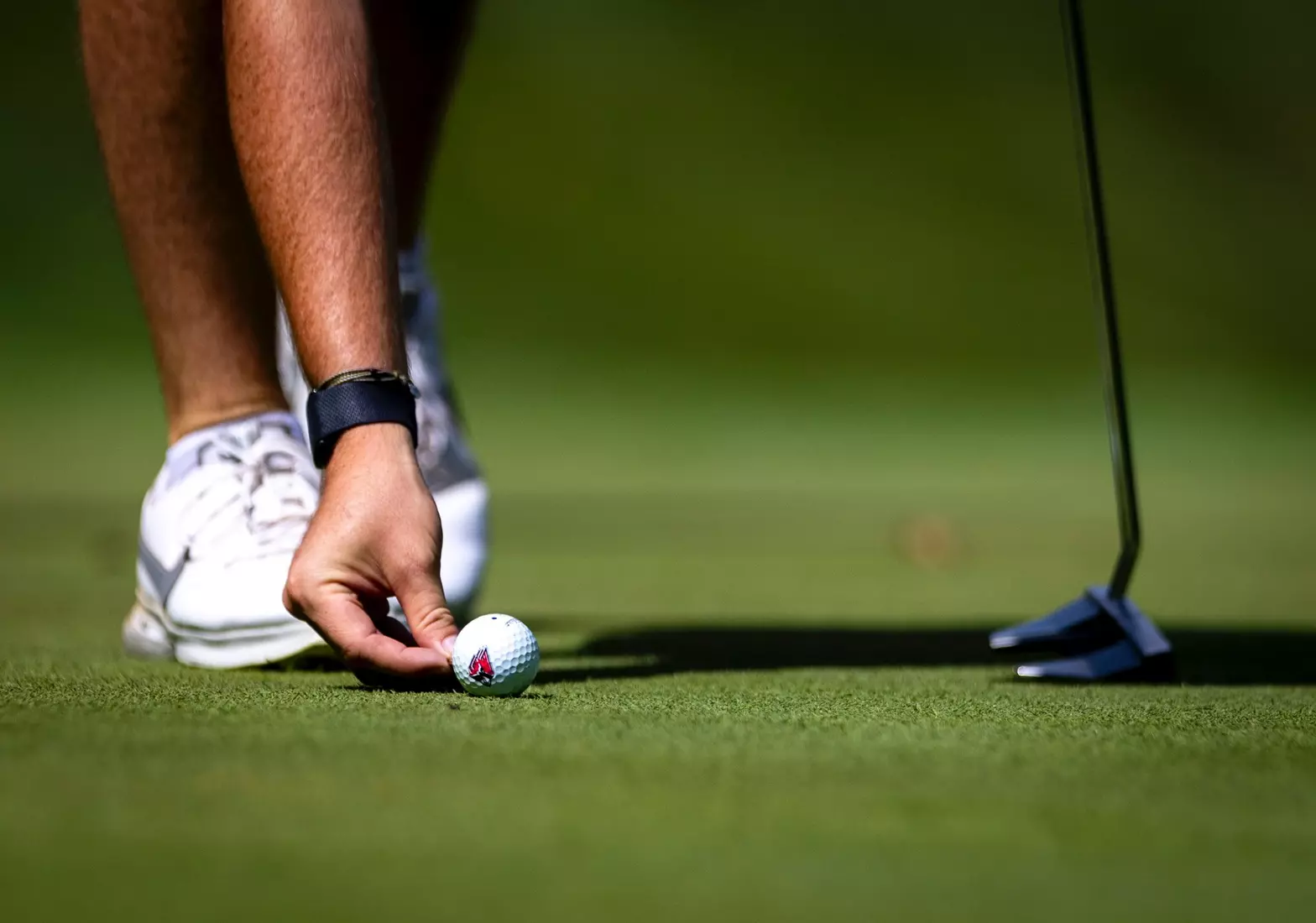 The Ball State Men's golf team competes in the EY Invitational.
