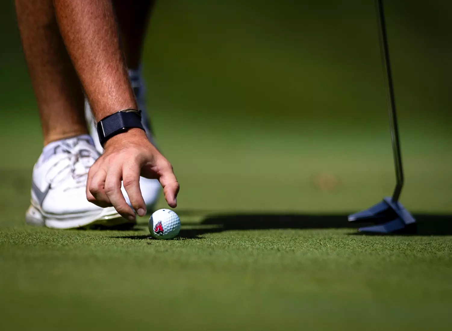 The Ball State Men's golf team competes in the EY Invitational.