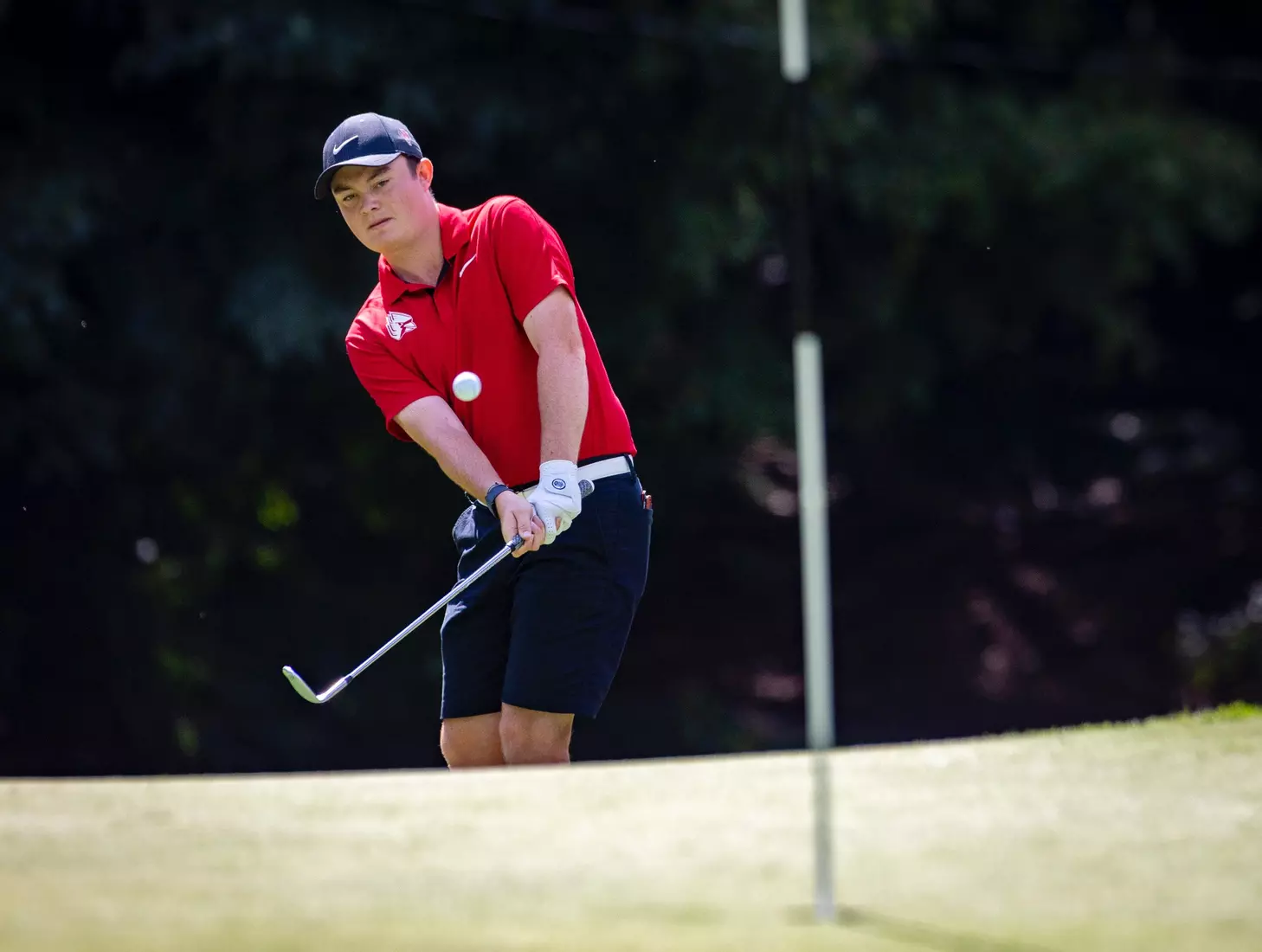 The Ball State Men's golf team competes in the EY Invitational.