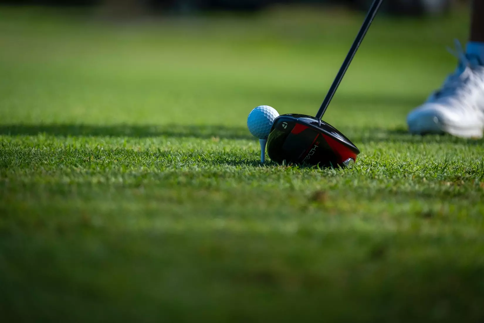 The Ball State Men's golf team competes in the EY Invitational.