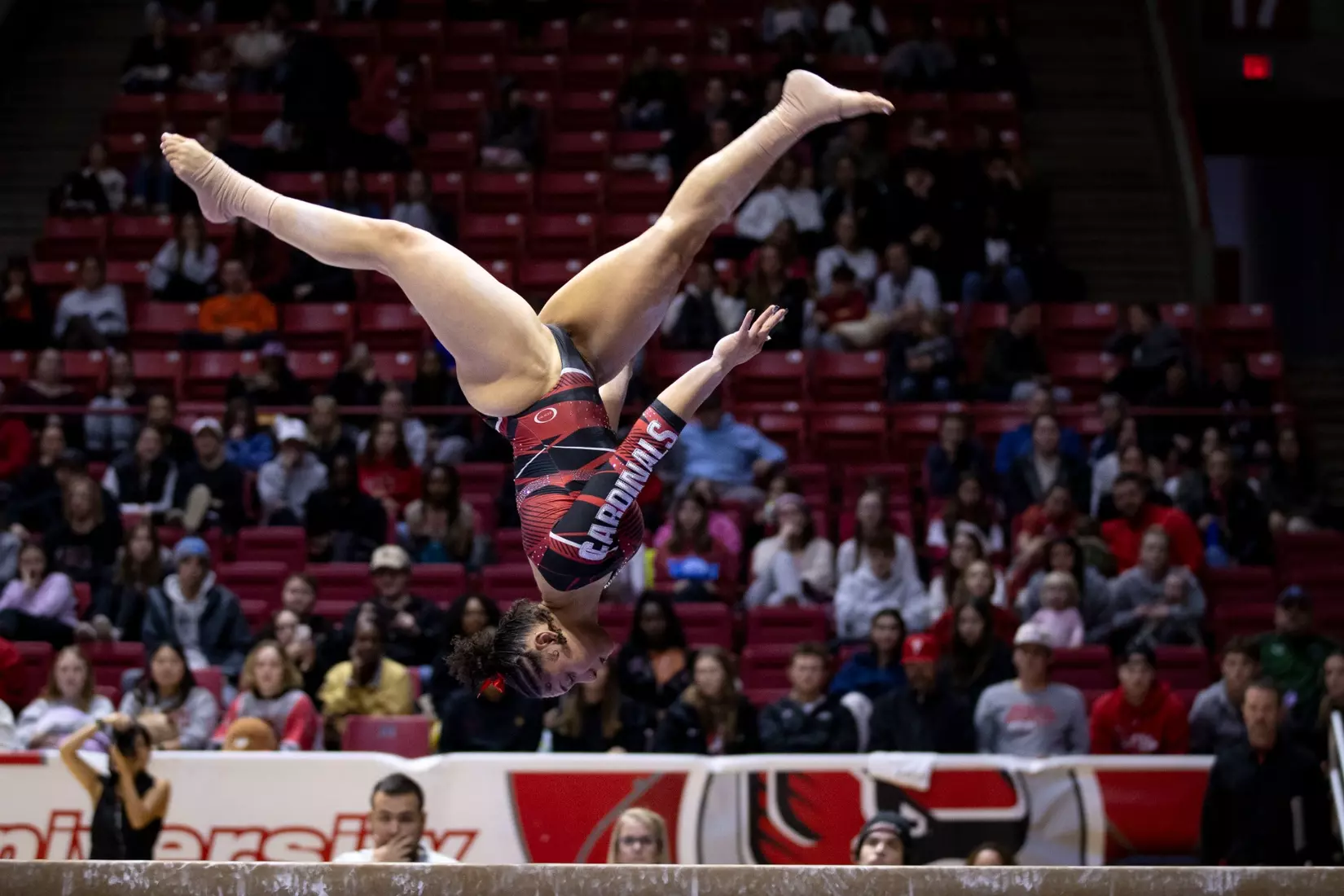 The Ball State gymnastic team hosts Bowling Green in Worthen Arena on Jan, 22. Photo by Samantha Blankenship / Ball State University
