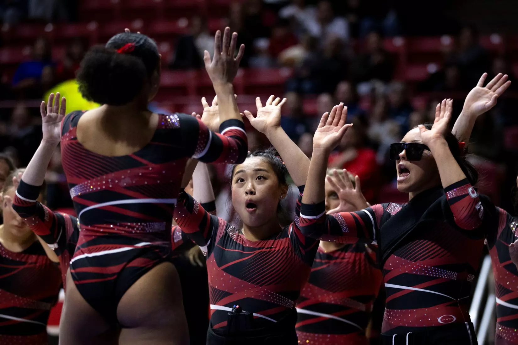 The Ball State gymnastic team hosts Bowling Green in Worthen Arena on Jan, 22. Photo by Samantha Blankenship / Ball State University