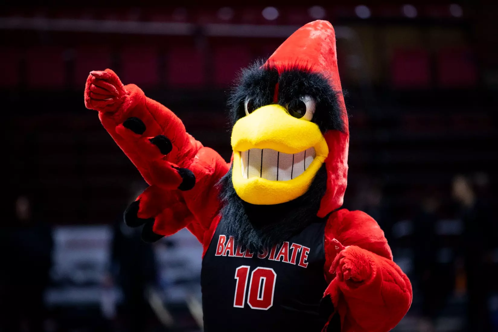 The Ball State gymnastic team hosts Bowling Green in Worthen Arena on Jan, 22. Photo by Samantha Blankenship / Ball State University