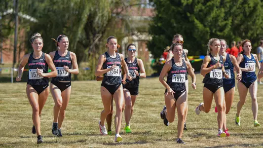 MAC Preview race