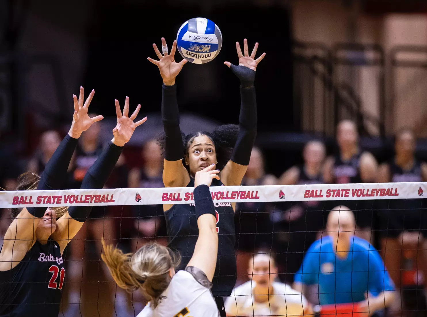 11-16-2024 - Ball State women's volleyball vs. Western Michigan - Senior Day. Photo by Bobby Ellis.