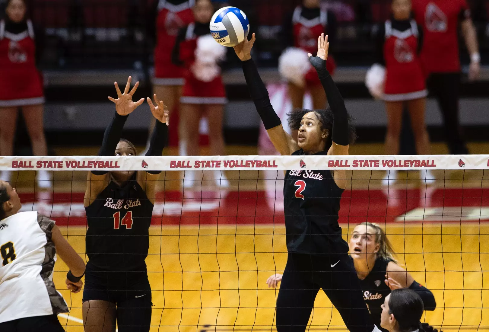 11-16-2024 - Ball State women's volleyball vs. Western Michigan - Senior Day. Photo by Bobby Ellis.
