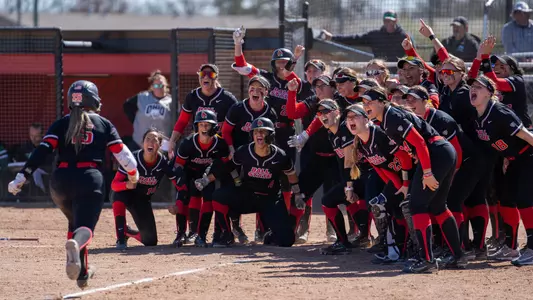 Haley Wynn - home run celebration versus Ohio