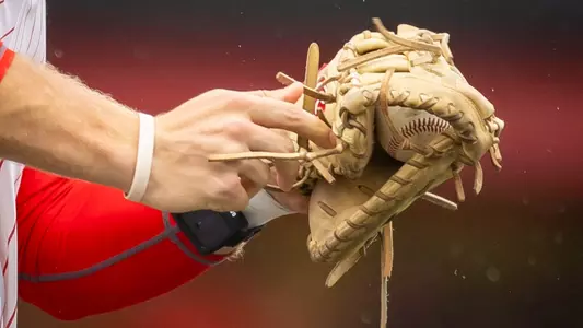 Baseball Glove