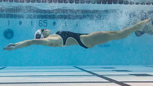 Swimming & Diving - Under Water