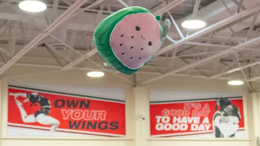 Gymnastics - Squishmallow Promo