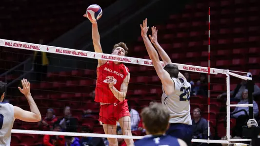 Pat Rogers vs Trine