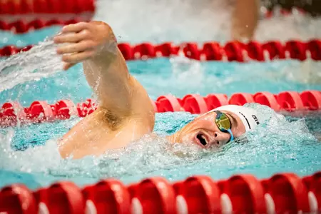 Max Kruglov vs. Bellarmine