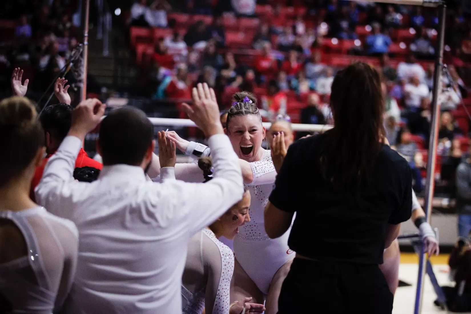 Ball State Gymnastics vs Central Michigan on Feb 9, 2025.